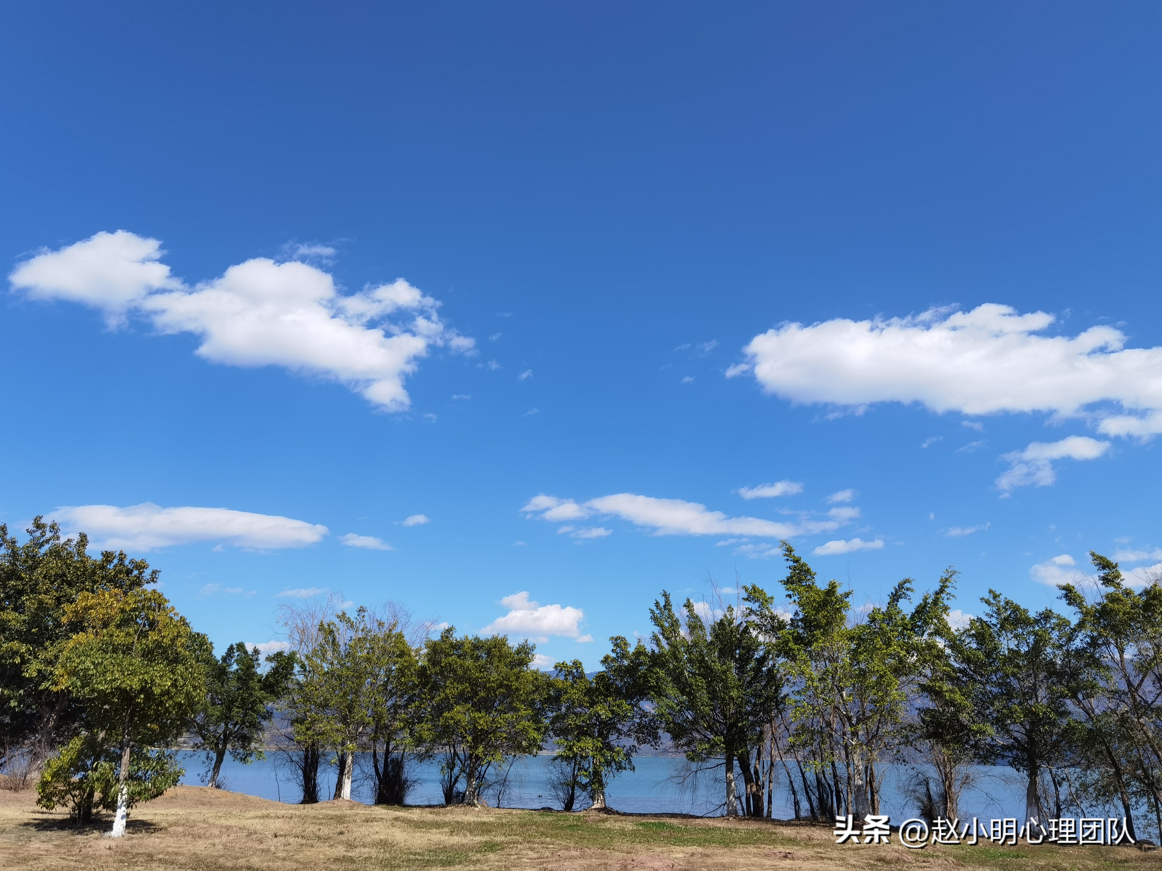 别再乱参加培训了，看小明老师几句话为你揭秘家庭治疗的不二法门