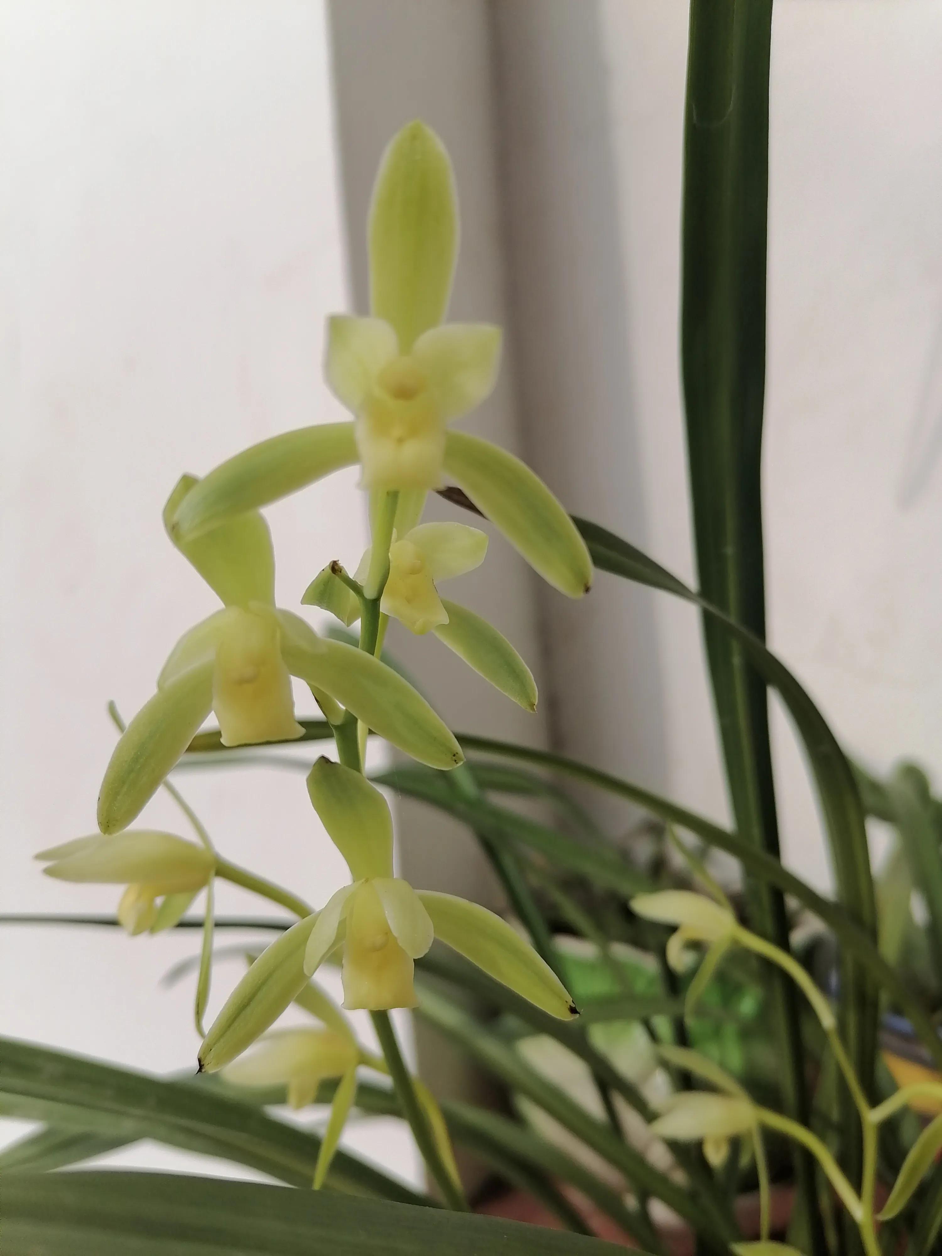 网购超过七天不给退货怎么办,拼多多的货超过七天还能退货吗