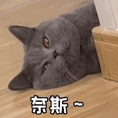 猫和老鼠动态表情包gif微信,乔杉搞笑动图gif微信表情包