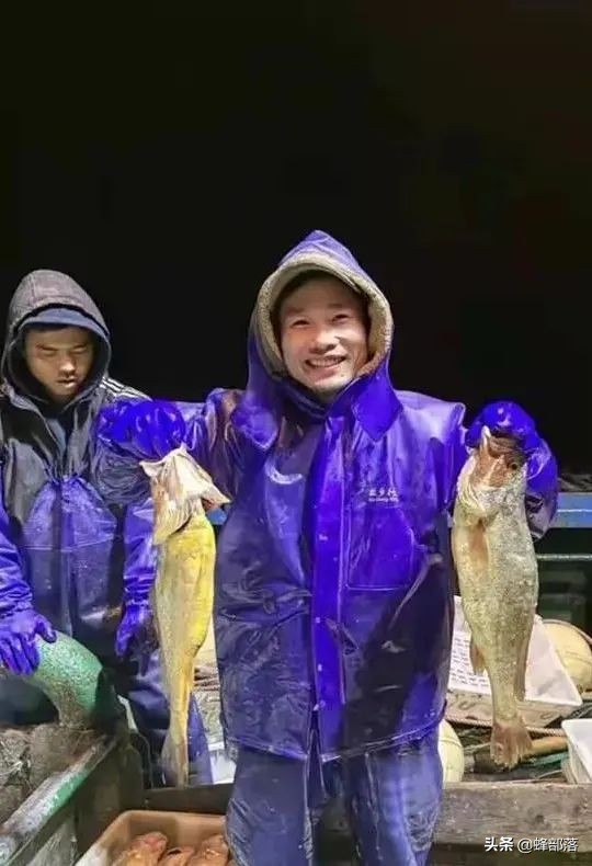 一网4500斤黄鱼,渔民一网野生黄鱼出957万高价