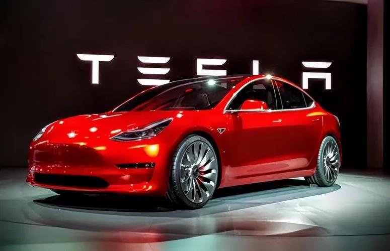 高知青年回乡创业,一位海归青年与走出大山的感悟