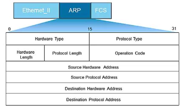 arp协议漏洞,arp协议号