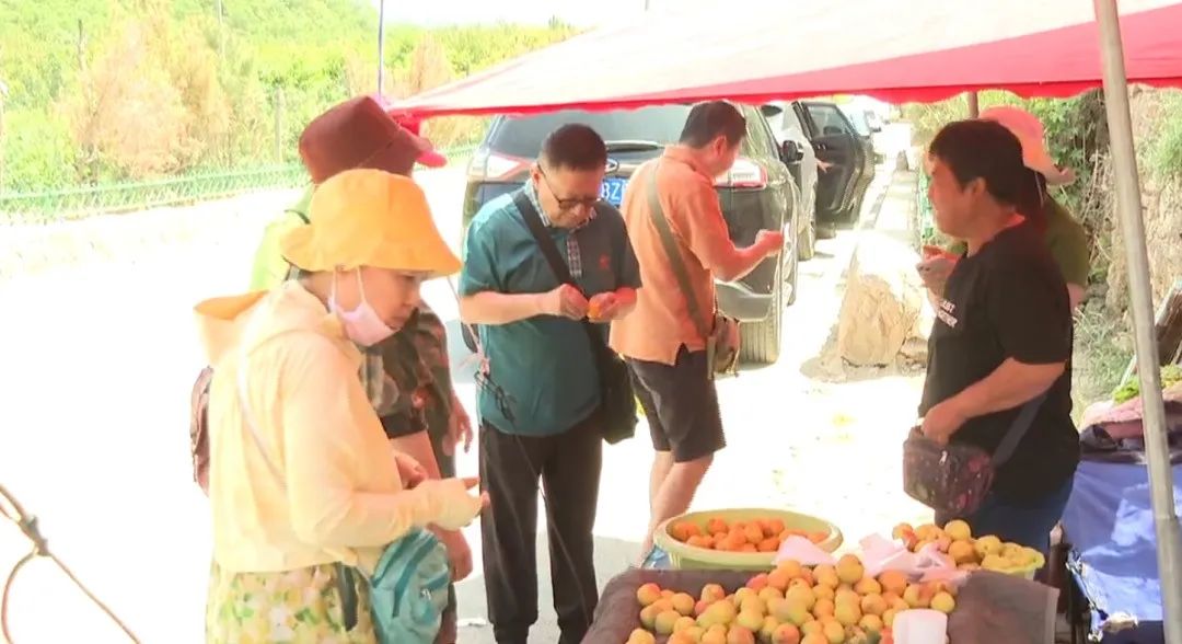 鹿泉丰收,致富路上瓜果飘香花盛开