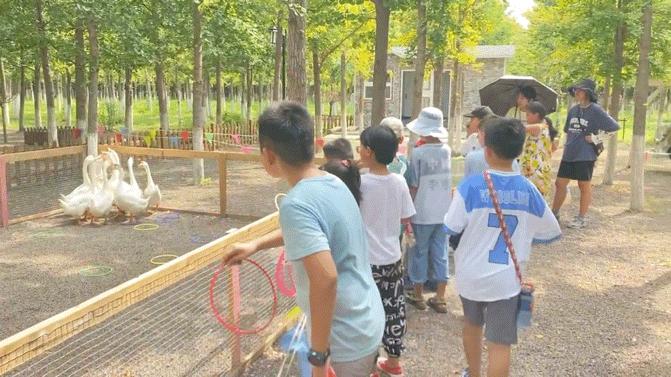 城阳青春足球场未来开放,青春足球场首秀