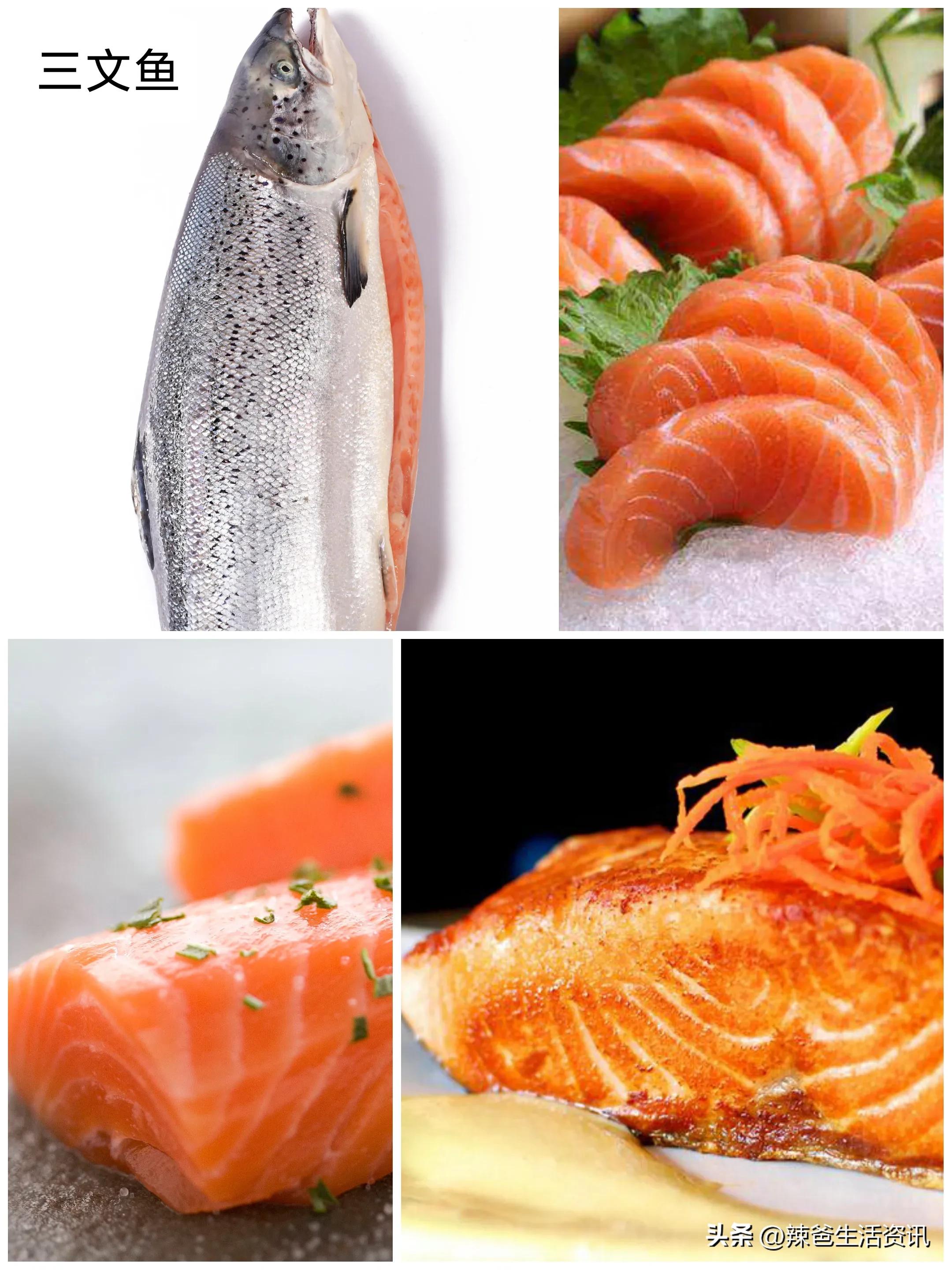 好吃不贵的野生海鱼,十种好吃不贵的正宗海鱼