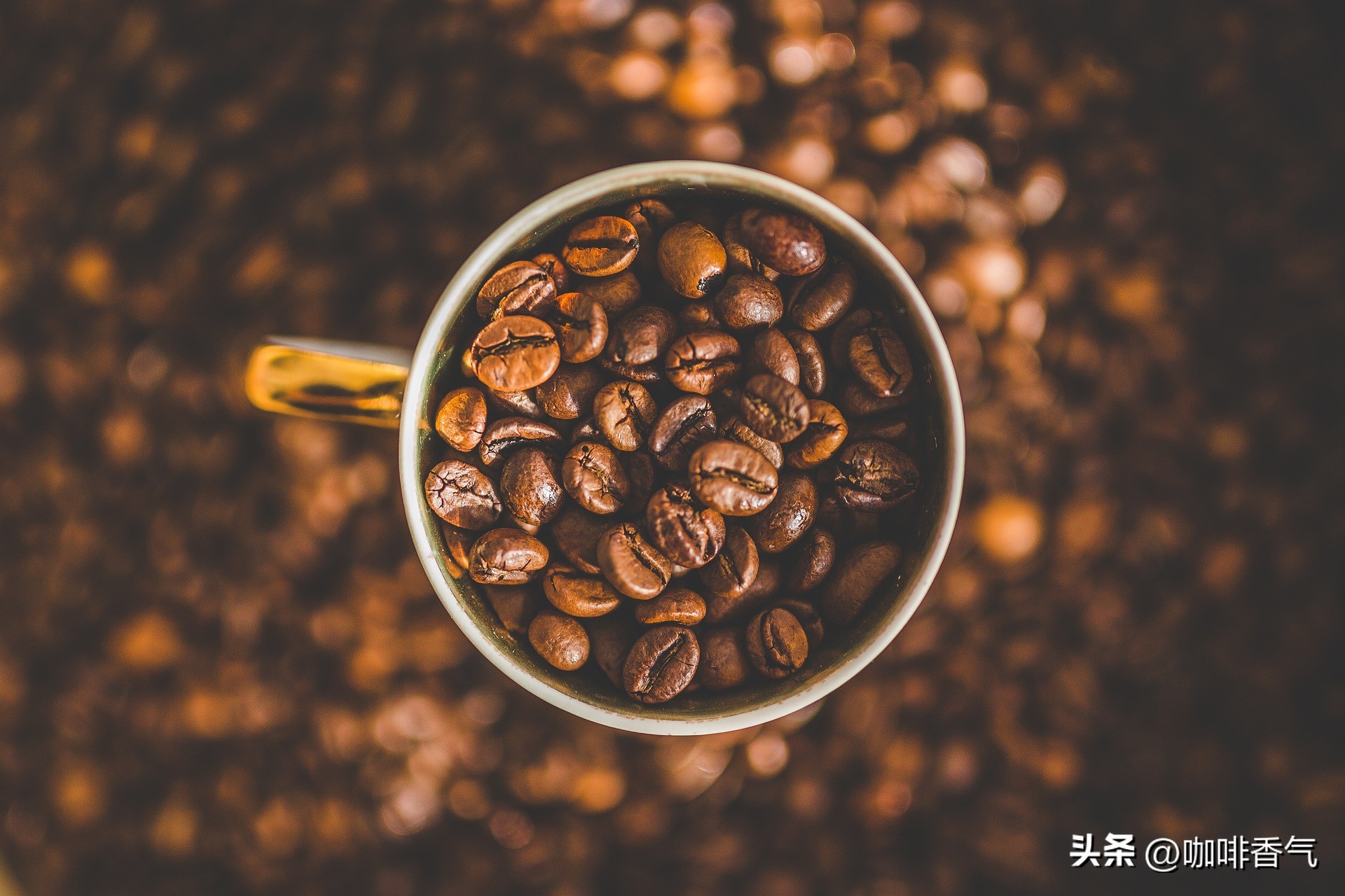 现磨咖啡买什么牌子的咖啡豆,好喝不贵的咖啡豆