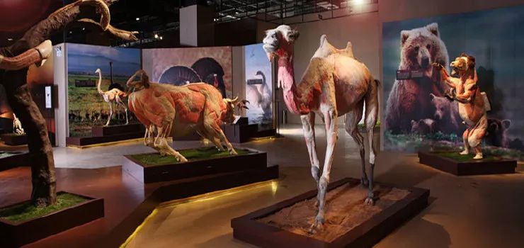 苏州自由行旅游团,苏州二日游旅游攻略旅行团