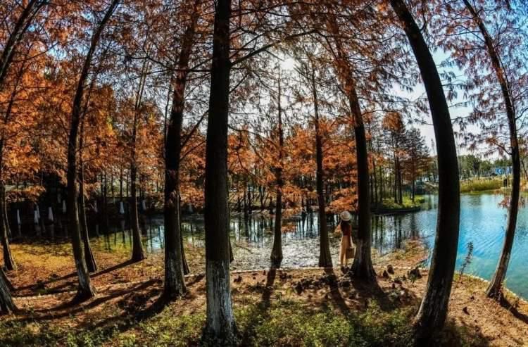 有何乾坤？闵行这里为企业送上特色“服务包”