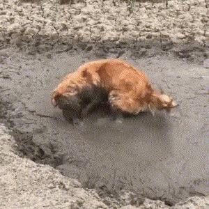 经典沙雕搞笑对话语录,最沙雕的幽默语录