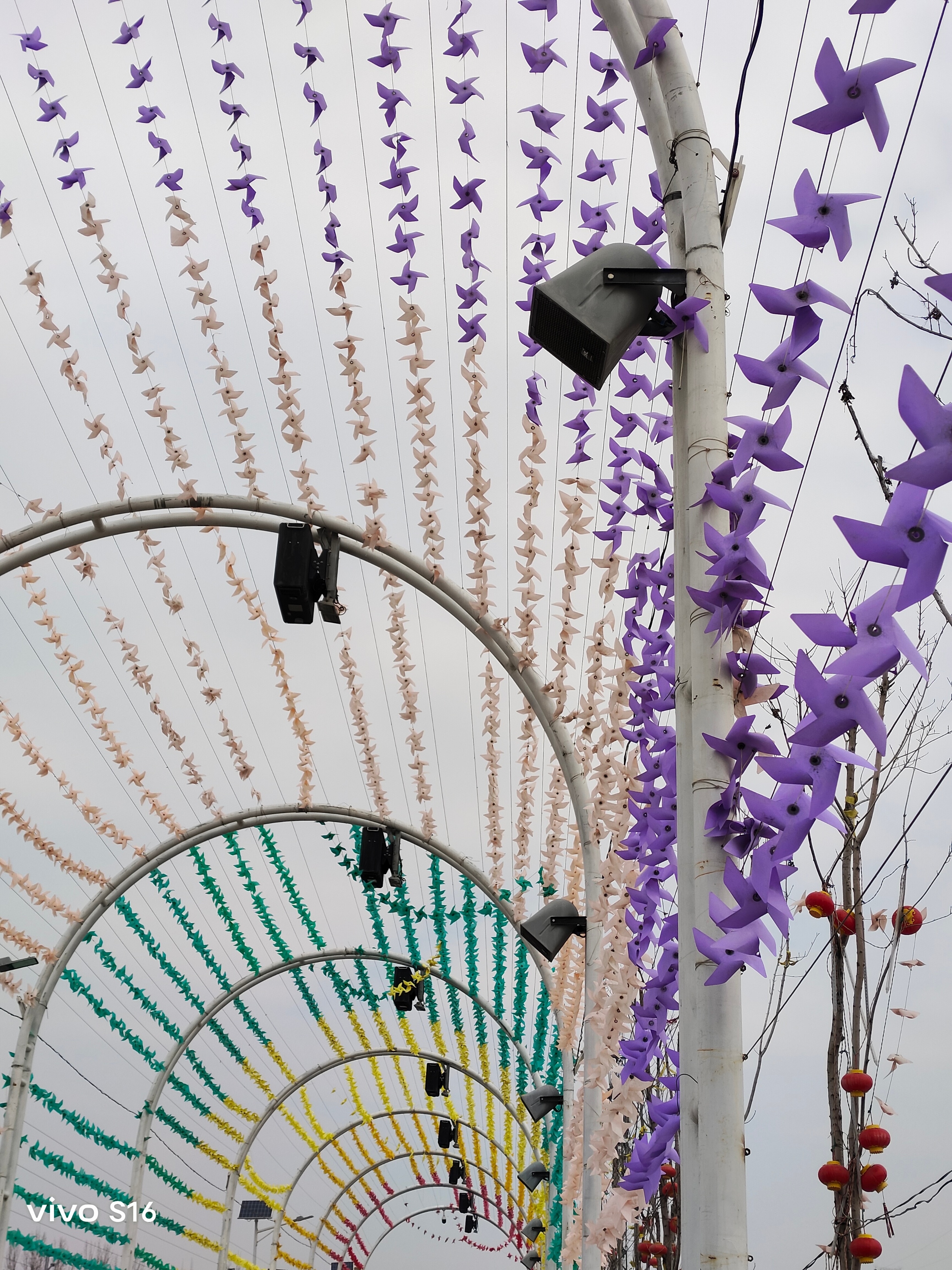 vivos16拍照水平是什么样子,vivos16系列中拍照最好的手机最新