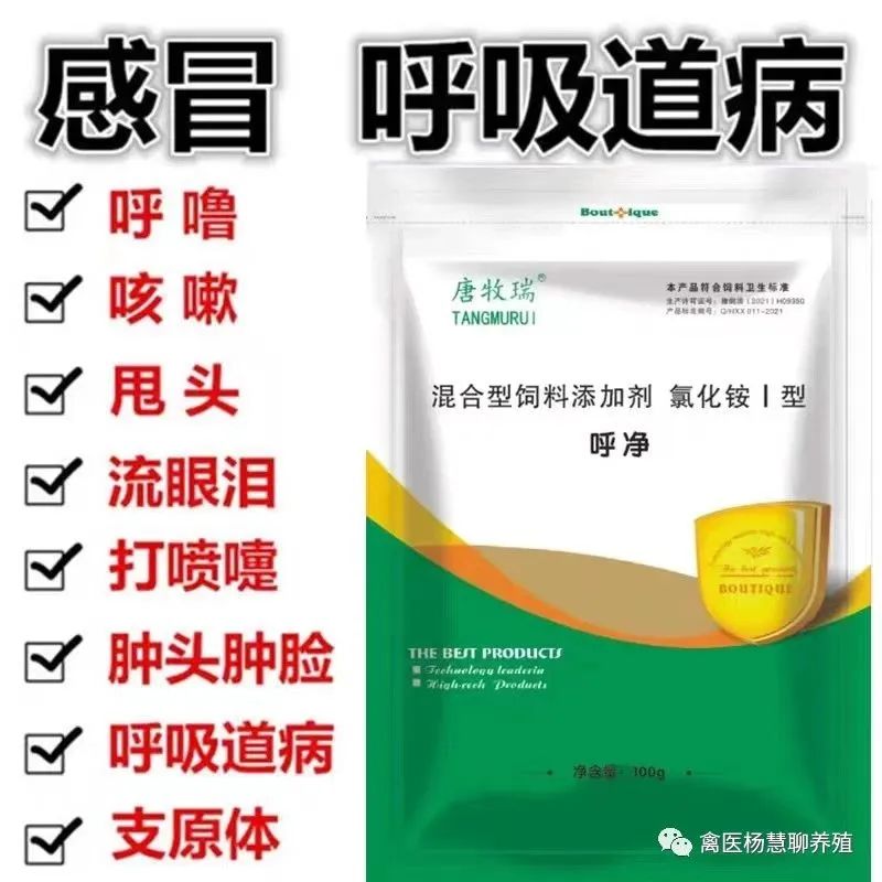 绂藉尰瑙ｈ,绂藉尰鏉ㄦ収