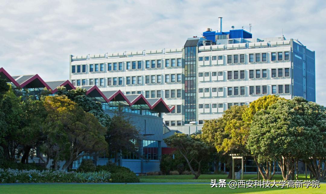 4+0双色球,4+0靠谱吗