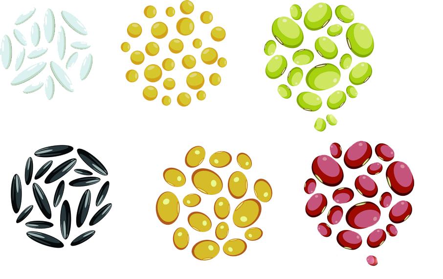 全谷物健康科普汇,多谷物更健康