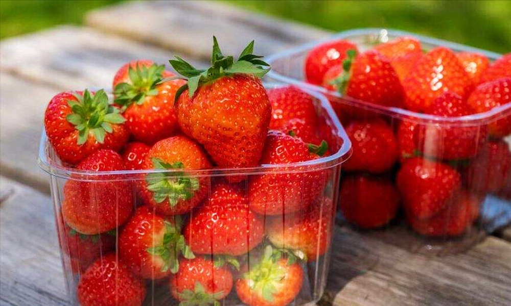 怎样清洗草莓才能无菌无细菌,草莓的正确清洗方法是什么