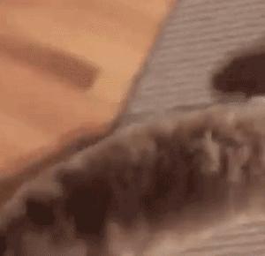 鎾炶劯鏂硅劯鐚村瓙鐨勫コ缃戠孩,鏂硅劯鐚村瓙妯′豢浜虹殑琛ㄦ儏