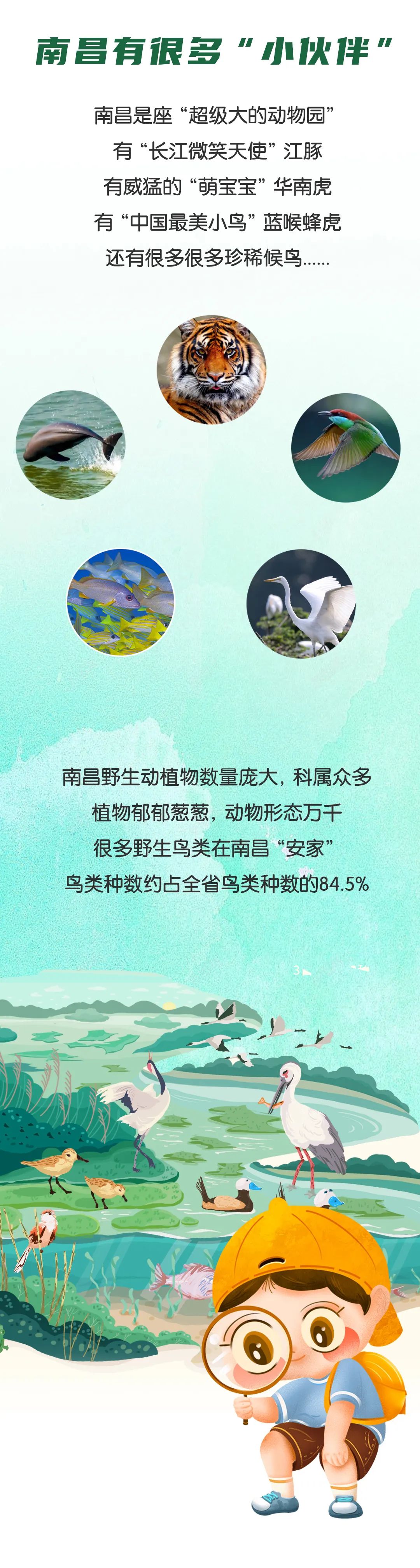 今天，带您感受孩子眼中的南昌