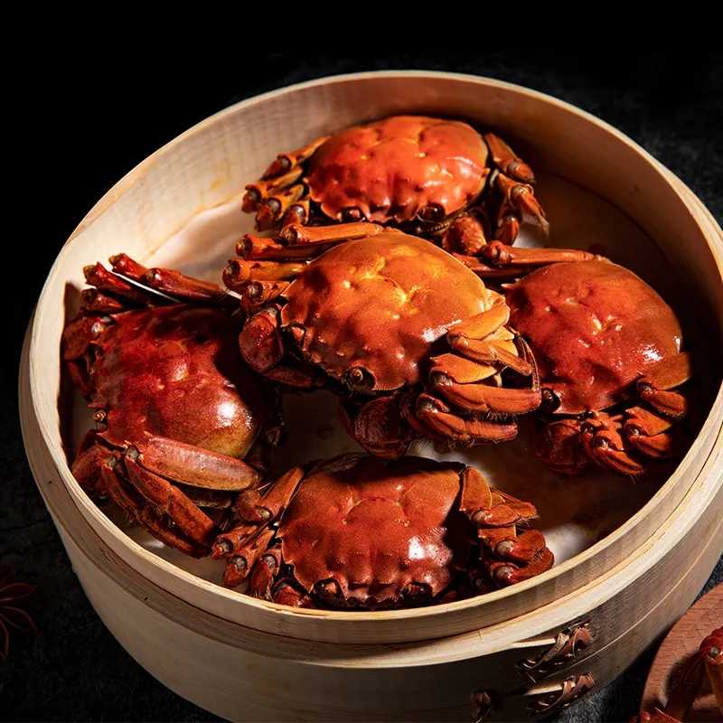 兴化千垛花海和盐城荷兰花海,江苏兴化苏北水乡