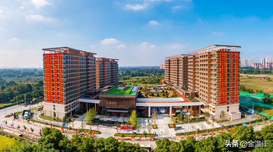 担当作为好书记视频,担当作为村支部书记