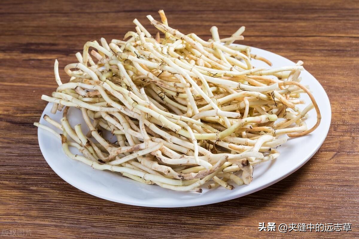 咳嗽有白痰也有黄痰中医,干咳痰少黄痰是风寒还是风热