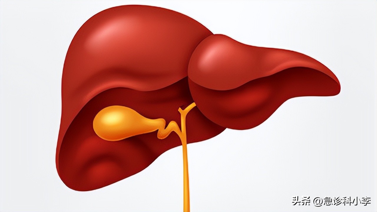 怎么辨别急性胆囊炎和慢性胆囊炎,急性胆囊炎的常见症状有哪些呢