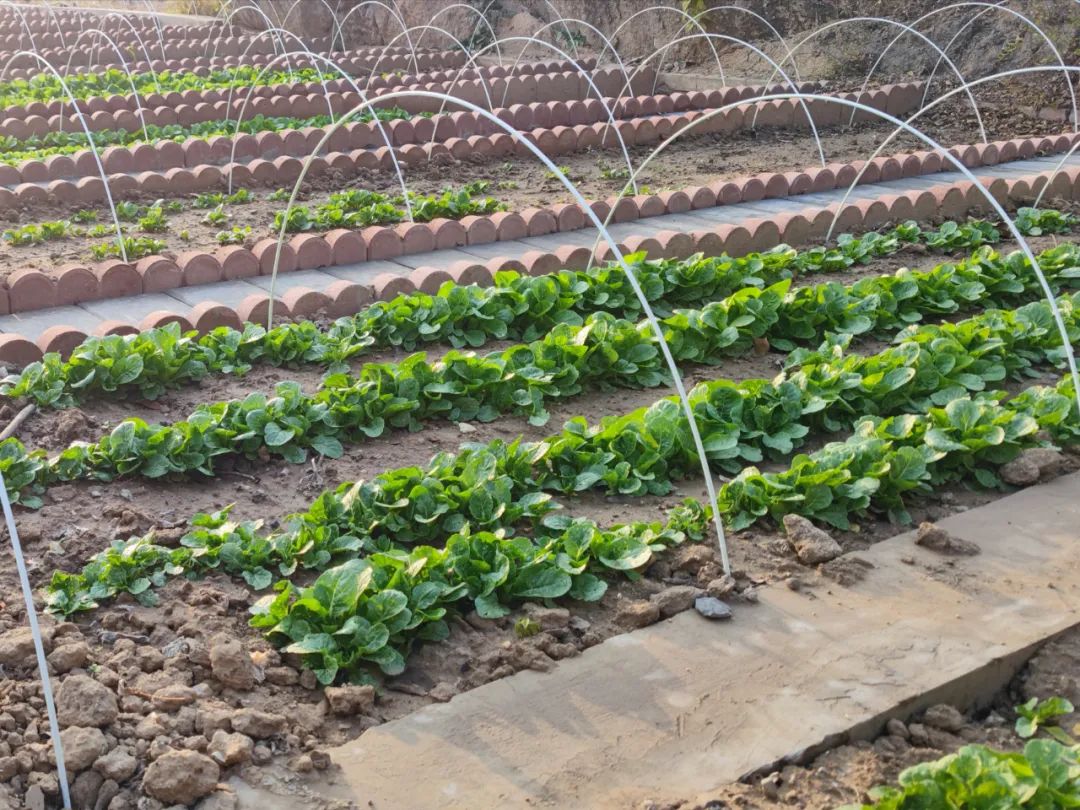 揭秘！派出所的“镇所之宝”