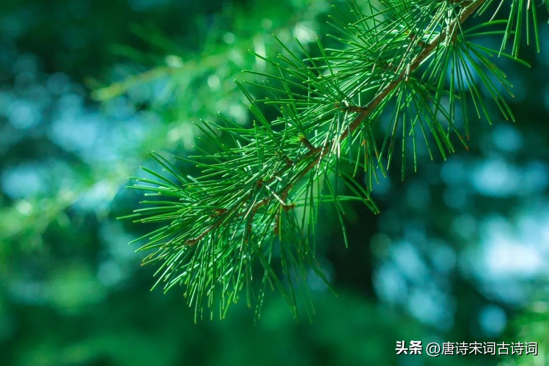 行走于世间小说,行走于世间