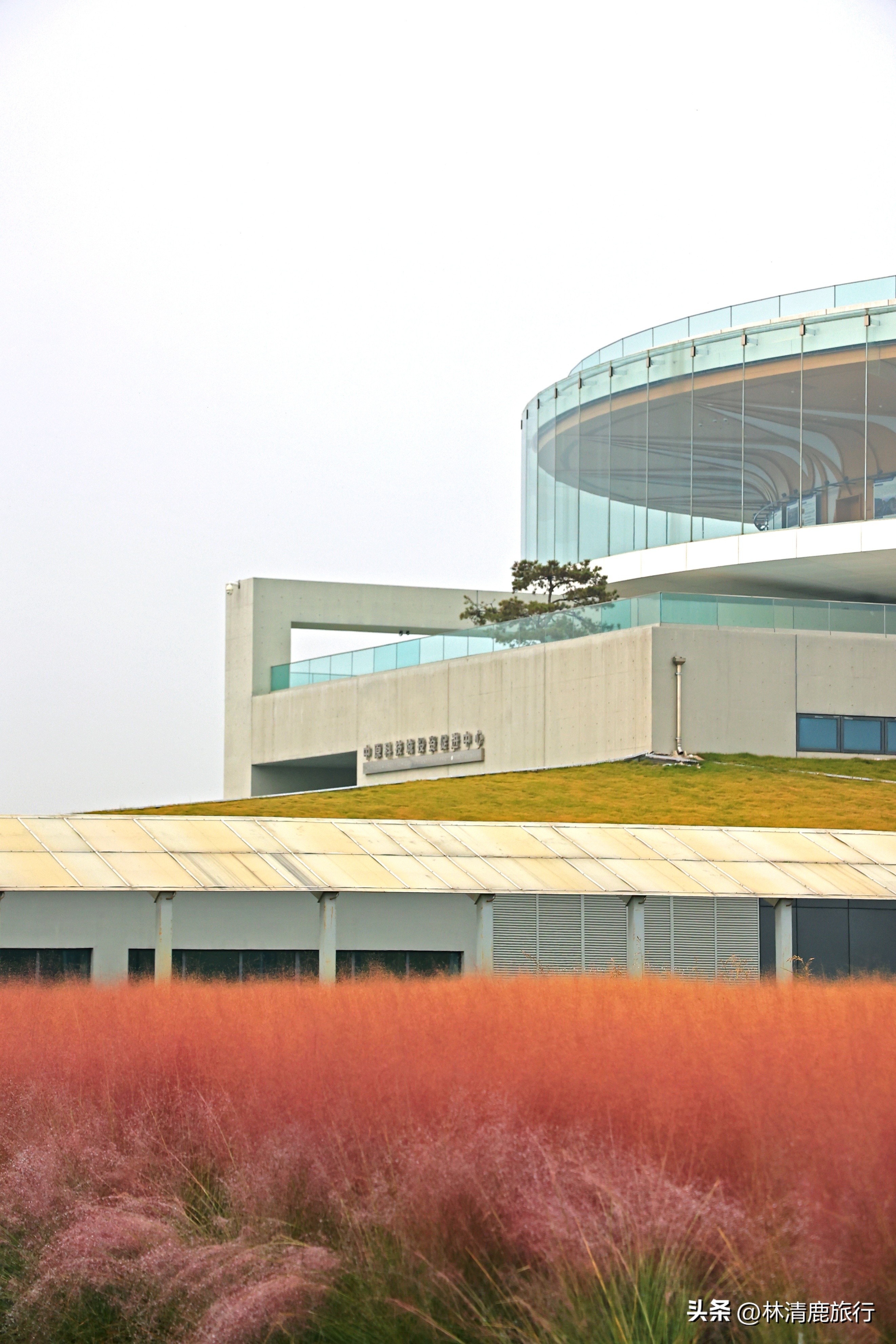 郑州最美的赏秋景点,赏秋好去处河南醉氧之地