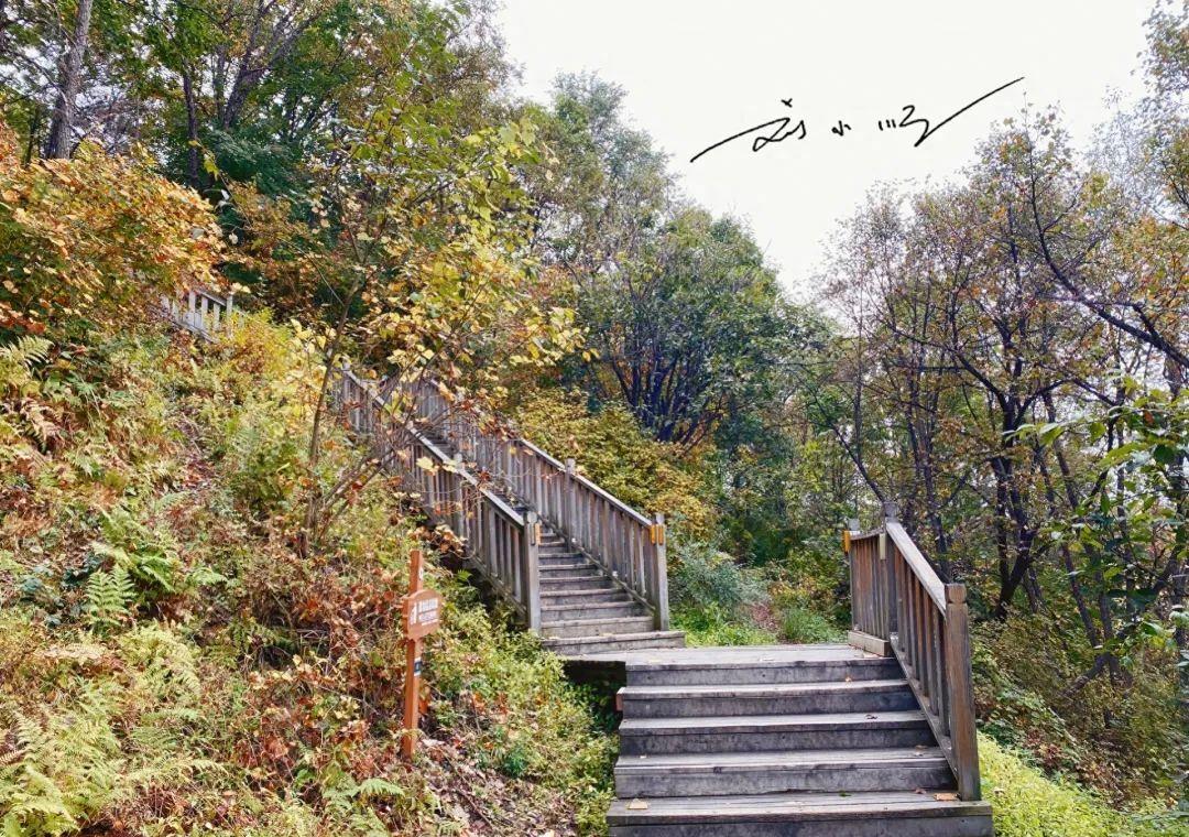 延吉的免费小众景点,游览延吉视频