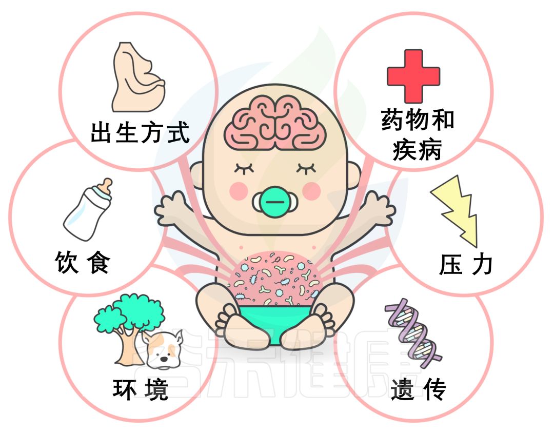 一文涵盖:宝宝大脑发育差异背后肠道菌群的故事