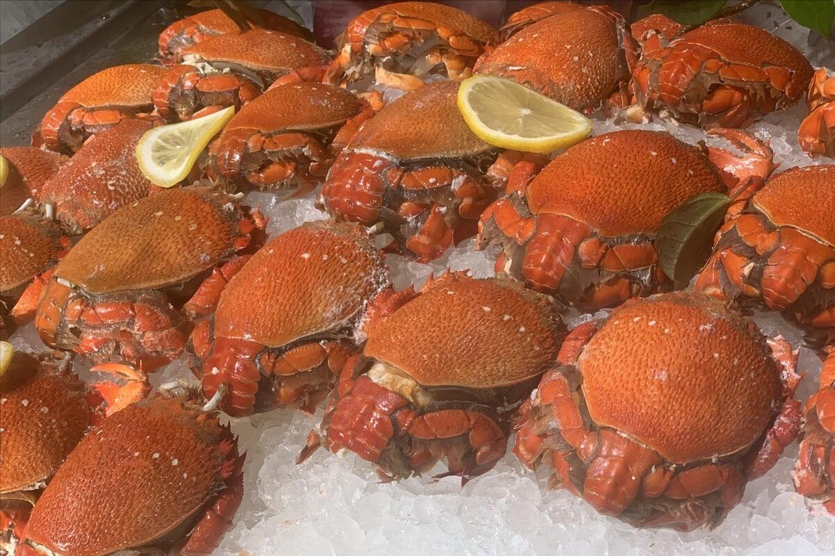 螃蟹品种怎么区分,螃蟹如何挑选图解