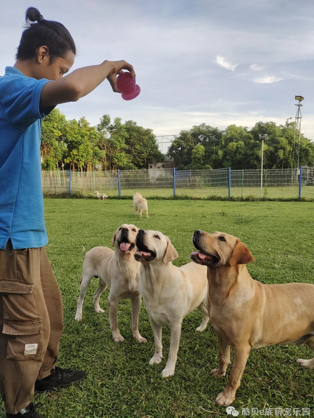 酷贝现在怎样了,你踩过坑吗测试