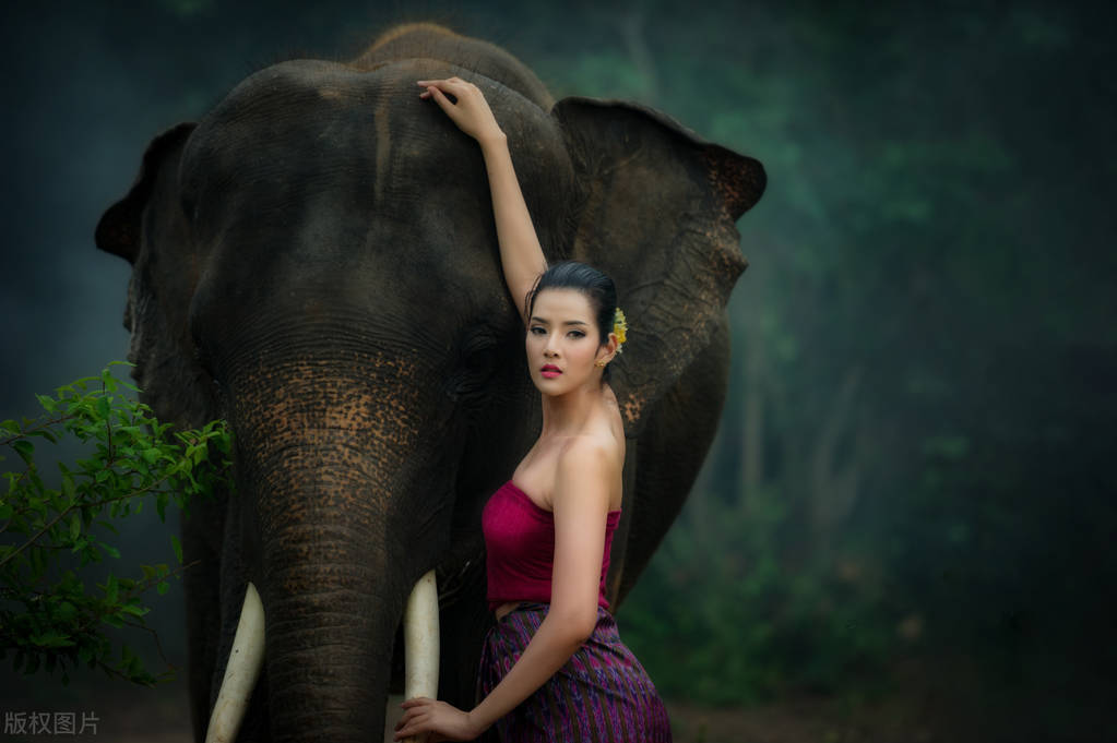 去泰国鳄鱼钱包,在泰国如何放钱包