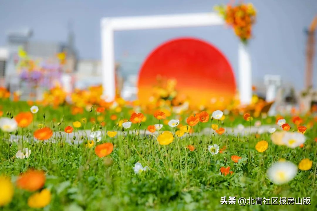 超级店庆活动,超级店庆2019