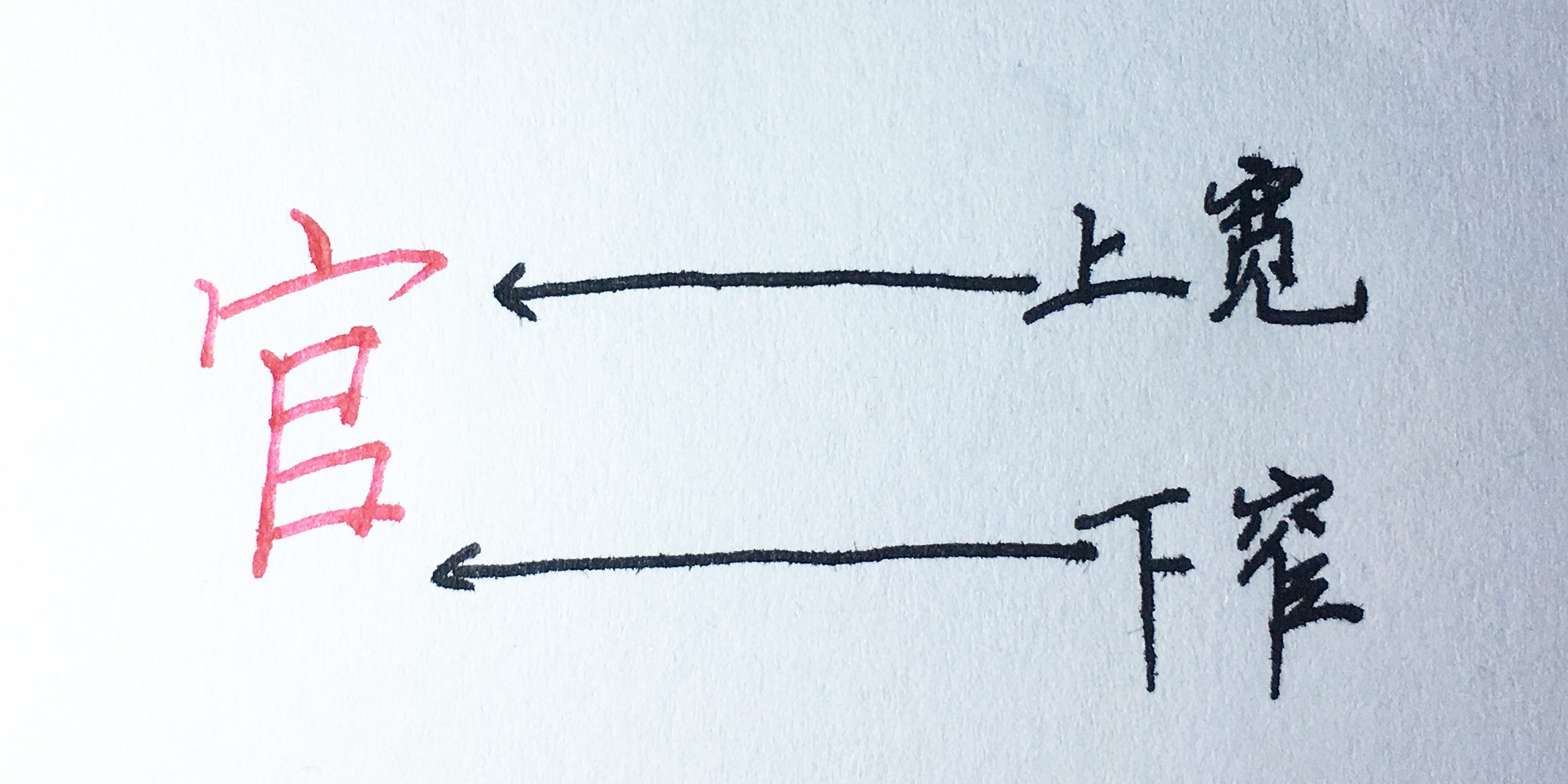 上下结构的汉字掌握4个结构规律，可以应用到几百个字的书写