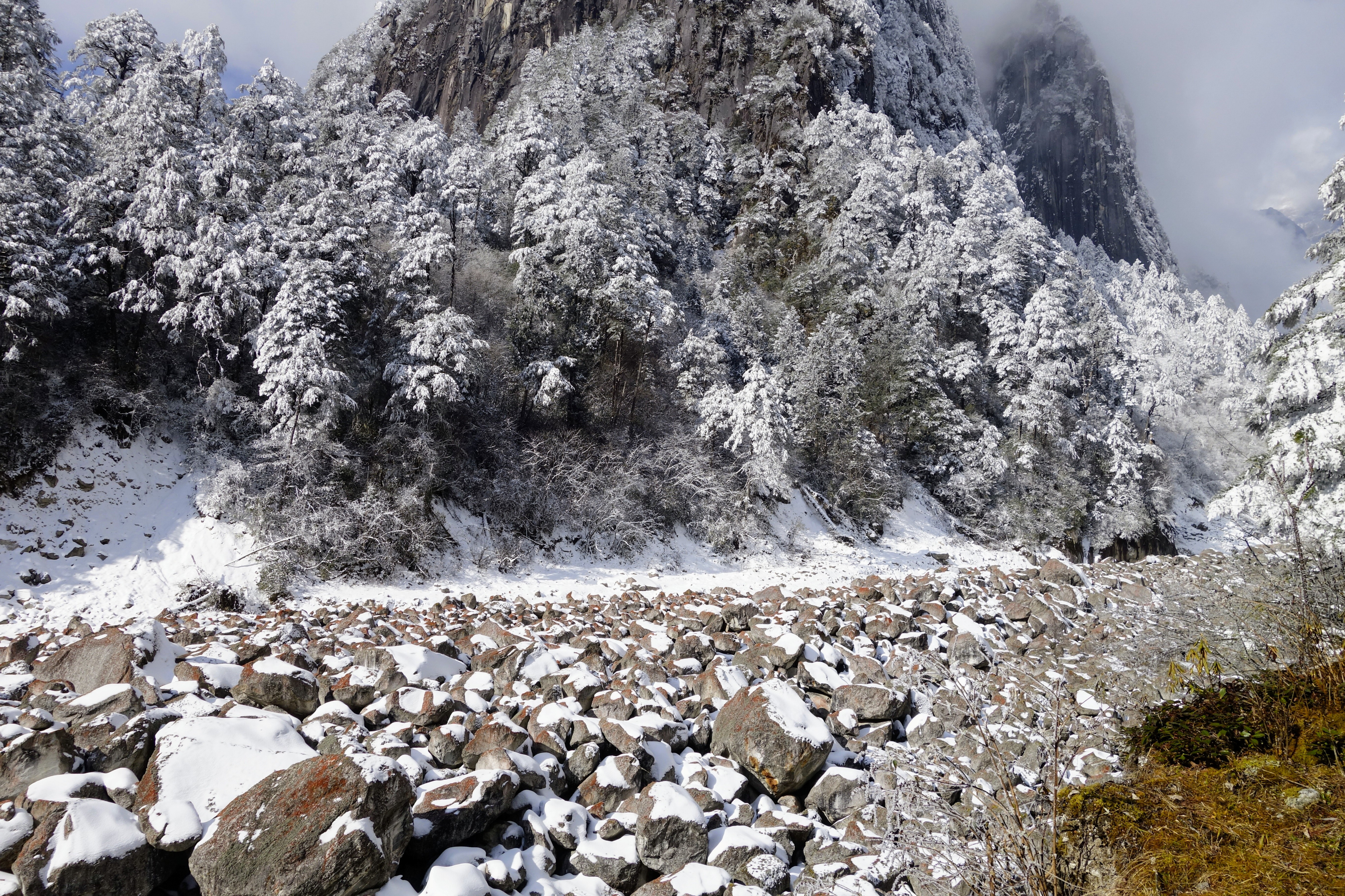 川西圣境游玩攻略,甘孜燕子沟攻略