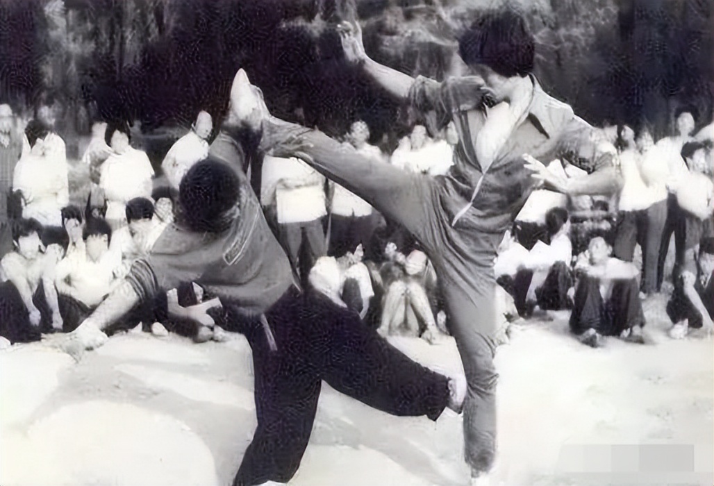 武术绝学大全 (武术的精髓和功法)