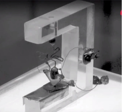 计算机科学速成课编程语言发展史,80年代学习计算机编程