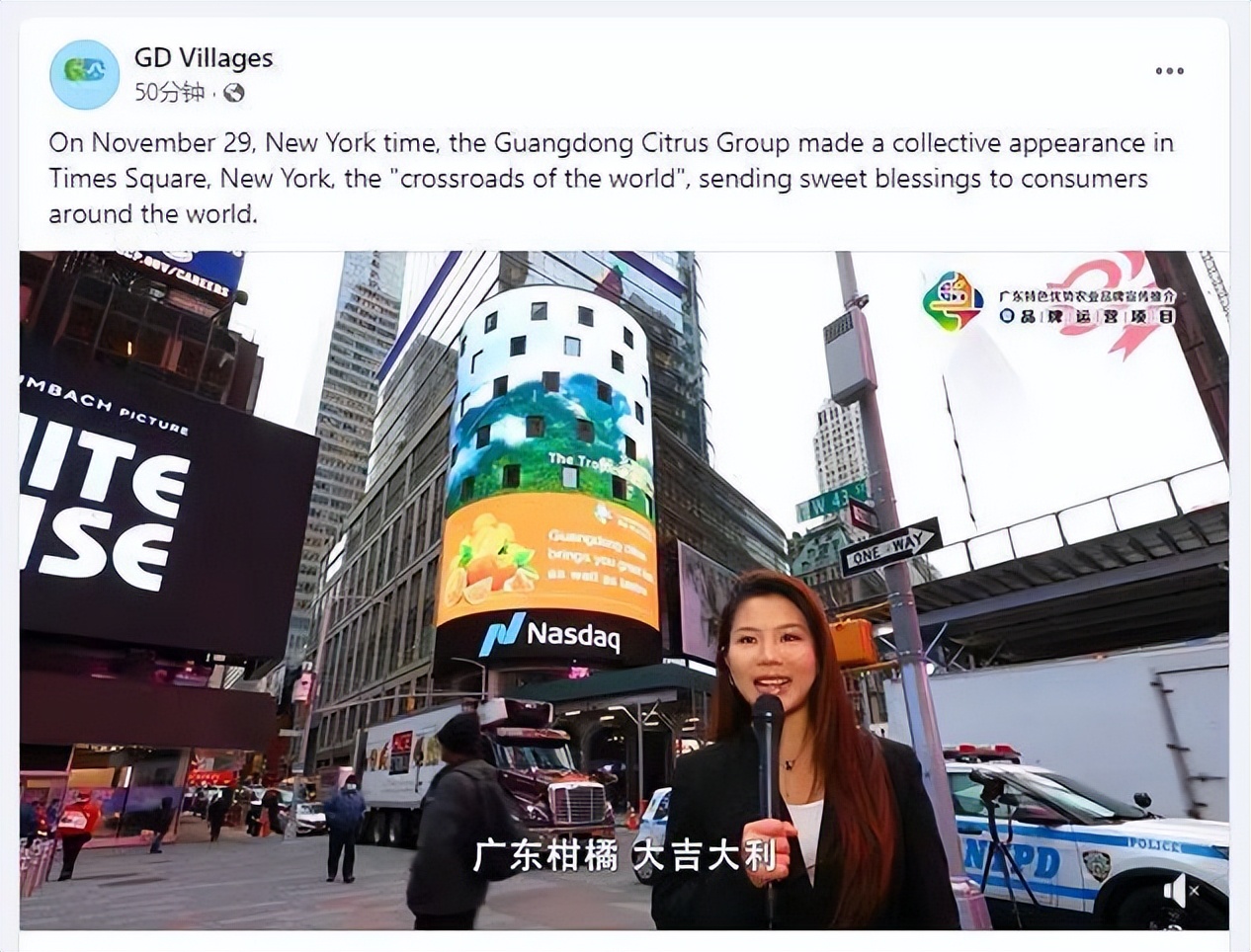 广东柑橘销售渠道,柑橘销售省份市场