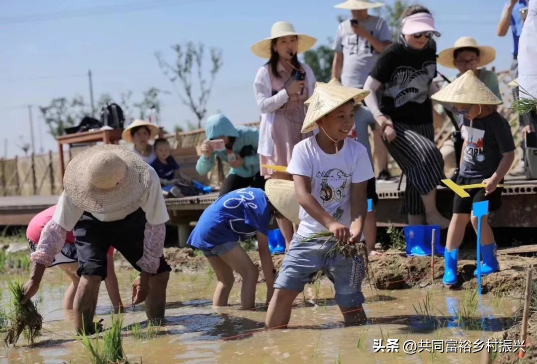 研学基地去哪里申请,研学基地申报找哪个部门