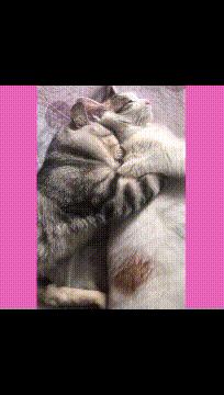 地铁时髦的上海阿姨,上海地铁阿姨的塑料袋