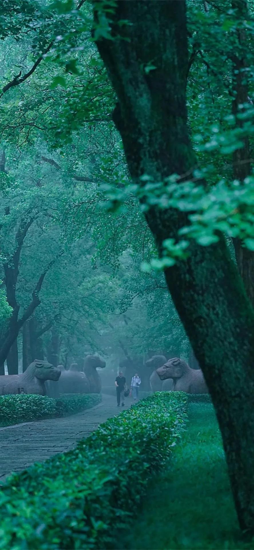 超高清海洋沙滩风景壁纸全屏,湛蓝的海水海滩风景高清壁纸