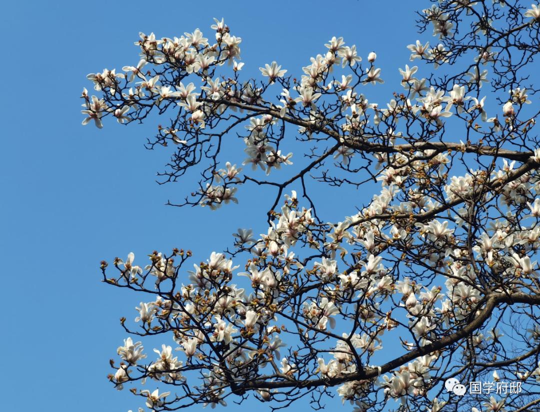 晚春美景的唯美诗句,遇见春天唯美诗词