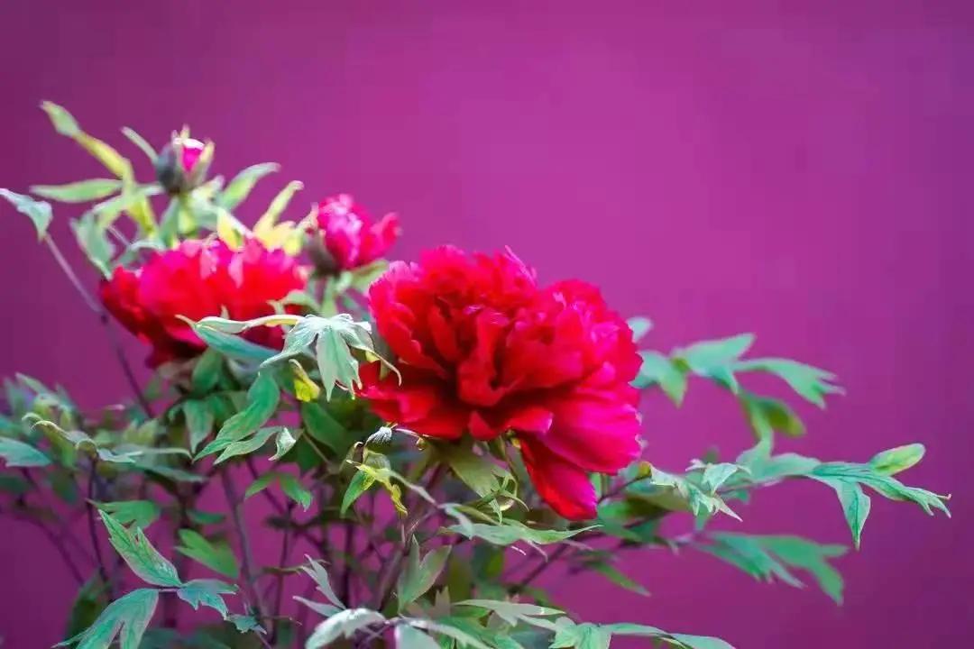 这个季节去哪里玩最合适昆明周边,昆明周边过年旅游推荐