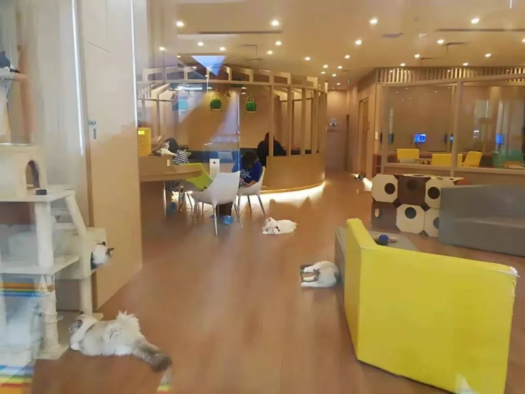 宁波万达潮玩,宁波潮玩店在哪