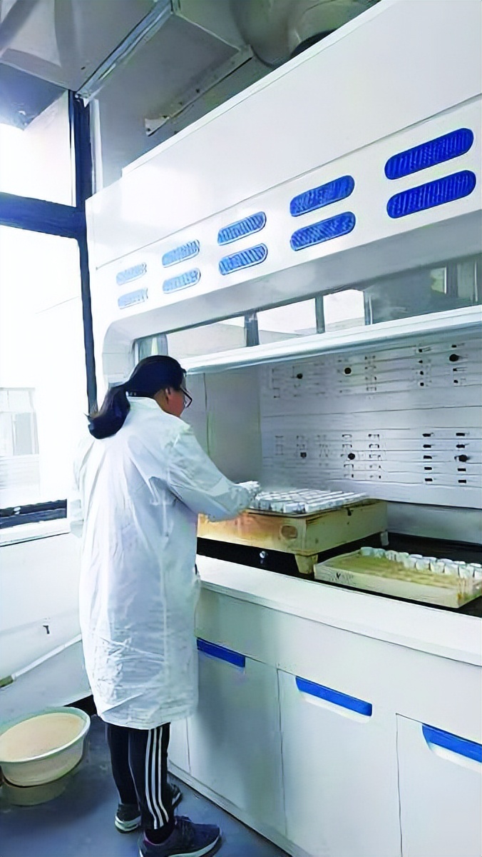 有色金属之乡是哪个省,有色金属之乡是什么