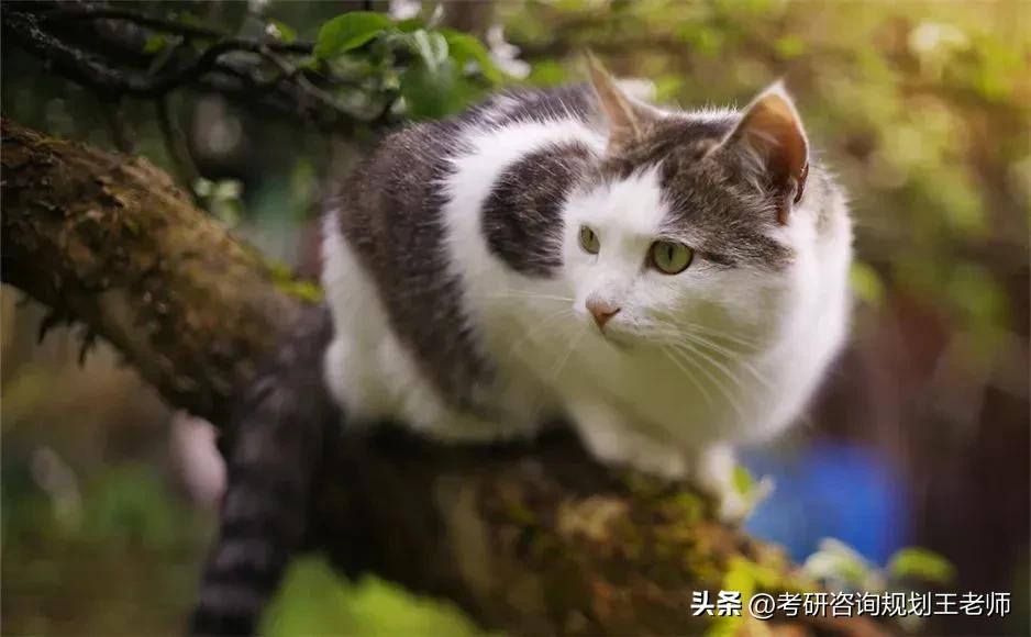 考研前健康打卡在哪里打卡,考研健康打卡选错了怎么办