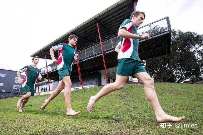 新西兰一个孤独与梦幻的国家,新西兰是一个什么样的地方