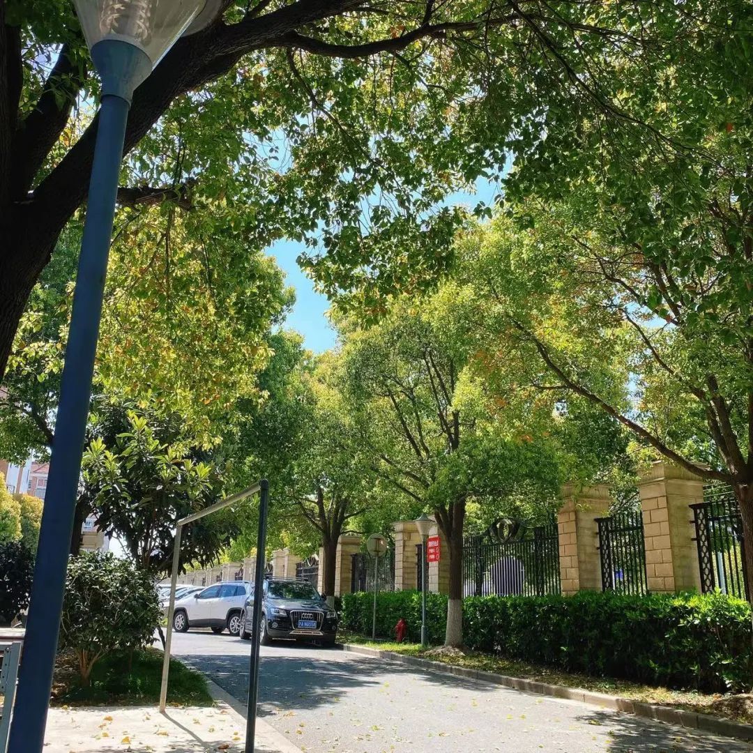 做育儿嫂选择去哪个城市最适合,做育儿嫂的心酸