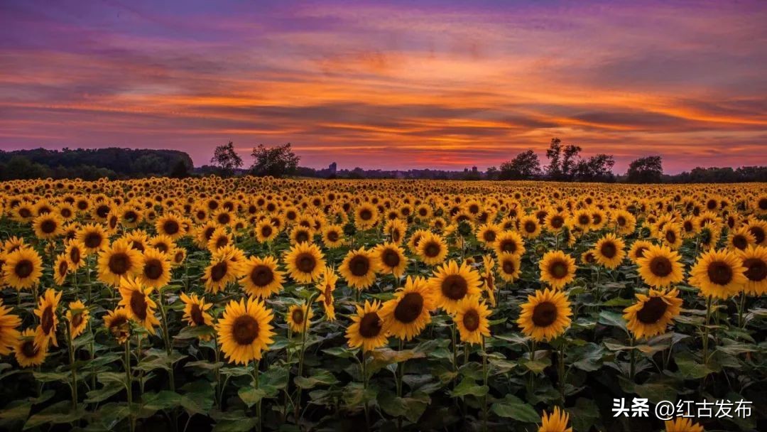 乡村振兴2023年最新热点,2023年乡村振兴必背知识点