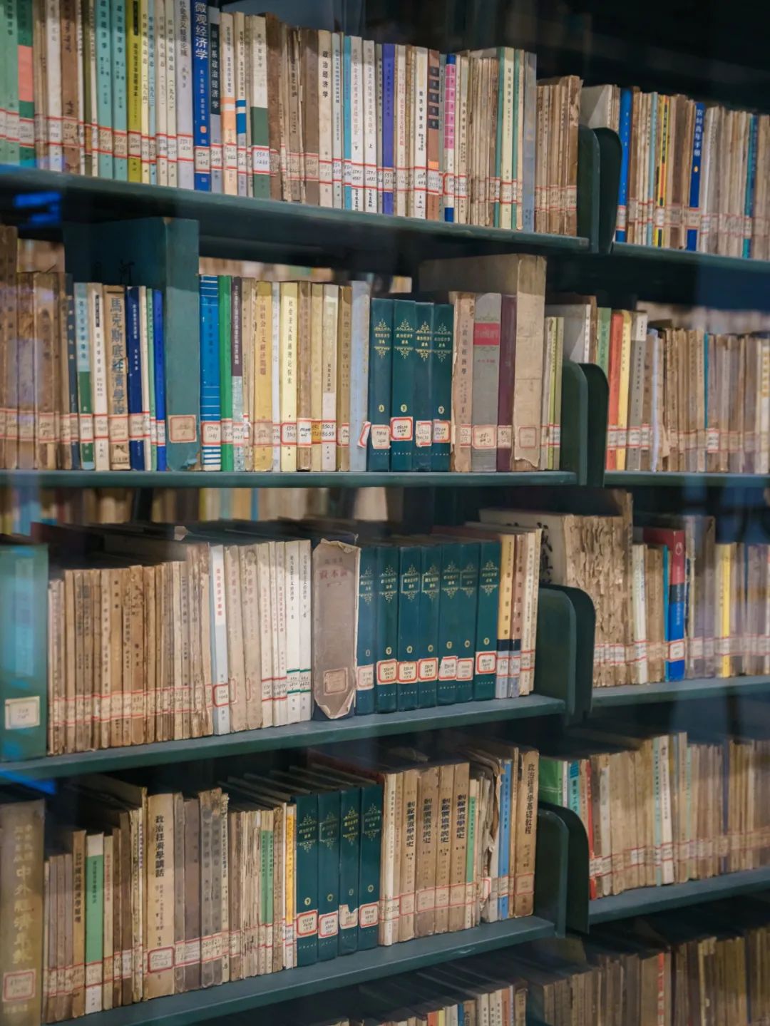 魔都自然博物馆,魔都的博物馆真的很有看头